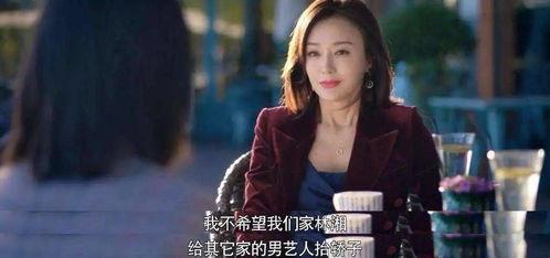 娱乐圈吃瓜熊姐小说